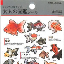 Load image into Gallery viewer, PM大人の図鑑ｼｰﾙ/金魚 出目金 ランチュウ リュウキン 和風シール レトロ 魚シール 手帳デコ --- カミオジャパン(Kamiojapan) :4550432263376
