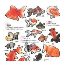 Load image into Gallery viewer, PM大人の図鑑ｼｰﾙ/金魚 出目金 ランチュウ リュウキン 和風シール レトロ 魚シール 手帳デコ --- カミオジャパン(Kamiojapan) :4550432263376
