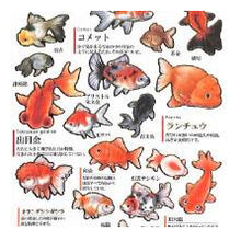 Load image into Gallery viewer, PM大人の図鑑ｼｰﾙ/金魚 出目金 ランチュウ リュウキン 和風シール レトロ 魚シール 手帳デコ --- カミオジャパン(Kamiojapan) :4550432263376
