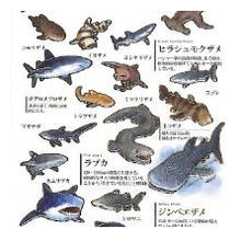 Load image into Gallery viewer, #PM 大人の図鑑ｼｰﾙ ｻﾒ シャーク 海の生き物 ホホジロザメ ジンベエザメ 水族館風 :4550432263383

