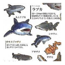 Load image into Gallery viewer, #PM 大人の図鑑ｼｰﾙ ｻﾒ シャーク 海の生き物 ホホジロザメ ジンベエザメ 水族館風 :4550432263383
