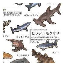 Load image into Gallery viewer, #PM 大人の図鑑ｼｰﾙ ｻﾒ シャーク 海の生き物 ホホジロザメ ジンベエザメ 水族館風 :4550432263383
