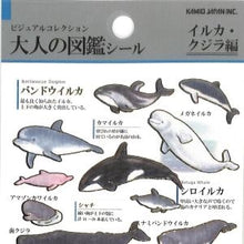 Load image into Gallery viewer, PM 大人の図鑑ｼｰﾙ ｲﾙｶ ｸｼﾞﾗ 水彩風 水族館 海の生き物 動物 癒し系 勉強 学習シール カミオジャパン(Kamiojapan) :4550432263406
