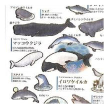 Load image into Gallery viewer, PM 大人の図鑑ｼｰﾙ ｲﾙｶ ｸｼﾞﾗ 水彩風 水族館 海の生き物 動物 癒し系 勉強 学習シール カミオジャパン(Kamiojapan) :4550432263406

