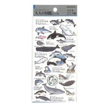 Load image into Gallery viewer, PM 大人の図鑑ｼｰﾙ ｲﾙｶ ｸｼﾞﾗ 水彩風 水族館 海の生き物 動物 癒し系 勉強 学習シール カミオジャパン(Kamiojapan) :4550432263406
