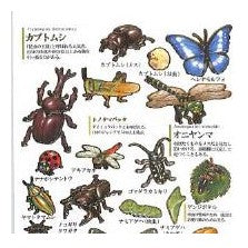 ＃大人の図鑑 ＃PM大人の図鑑ｼｰﾙ/昆虫 自由研究 生き物図鑑 カブトムシ クワガタ ヘラクレスオオカブト カミオジャパン(Kamiojapan) --- カミオジャパン シール 大人の図鑑シール 昆虫 226346 : adult picture book P : adult picture book PM Adult Pi :4550432263468