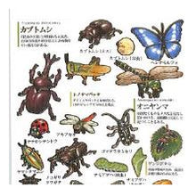 Load image into Gallery viewer, PM大人の図鑑ｼｰﾙ/昆虫 自由研究 生き物図鑑 カブトムシ クワガタ ヘラクレスオオカブト --- カミオジャパン(Kamiojapan) :4550432263468
