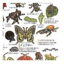 ＃大人の図鑑 ＃PM大人の図鑑ｼｰﾙ/昆虫 自由研究 生き物図鑑 カブトムシ クワガタ ヘラクレスオオカブト カミオジャパン(Kamiojapan) --- カミオジャパン シール 大人の図鑑シール 昆虫 226346 : adult picture book P : adult picture book PM Adult Pi :4550432263468