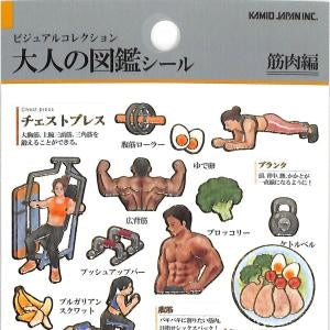 #PM 大人の図鑑 ｼｰﾙ 筋肉 トレーニング グッズ プロテイン サラダチキン 筋肉部位解説 --- :4550432263819