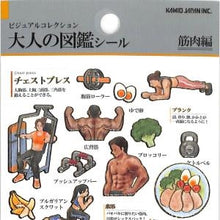 Load image into Gallery viewer, #PM 大人の図鑑 ｼｰﾙ 筋肉 トレーニング グッズ プロテイン サラダチキン 筋肉部位解説 --- :4550432263819
