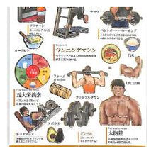 Load image into Gallery viewer, #PM 大人の図鑑 ｼｰﾙ 筋肉 トレーニング グッズ プロテイン サラダチキン 筋肉部位解説 --- :4550432263819
