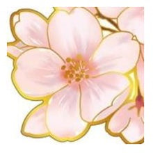 画像をギャラリービューアに読み込む, ＃大人の図鑑 ＃大人の図鑑 ｽｰﾂｹｰｽｽﾃｯｶｰ 桜の花 優しいピンクとゴールド縁 日本製 カミオジャパン :4550432265981
