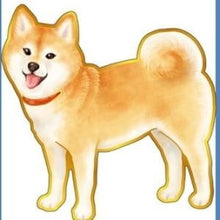 画像をギャラリービューアに読み込む, ＃大人の図鑑 ＃大人の図鑑 ｽｰﾂｹｰｽｽﾃｯｶｰ 柴犬 ゴールドふち付き にっこり笑顔のしばいぬ 日本製 カミオジャパン :4550432266049
