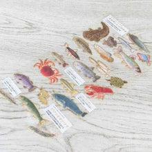 Load image into Gallery viewer, #ＰＭ大人の図鑑シール／淡水魚 PM大人の図鑑シール/淡水魚と淡水生物編 カミオジャパン(Kamiojapan) :4550432281134
