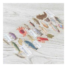 Load image into Gallery viewer, #ＰＭ大人の図鑑シール／淡水魚 PM大人の図鑑シール/淡水魚と淡水生物編 カミオジャパン(Kamiojapan) :4550432281134
