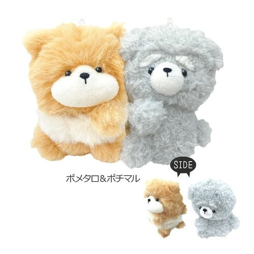 ＃ﾆｺﾇｲｷｰﾎﾙﾀﾞｰ ﾎﾟﾒﾀﾛ ﾎﾟﾁﾏﾙ ｸﾗｯｸｽ :4550451236023