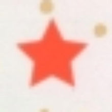 画像をギャラリービューアに読み込む, ＃RCM112ｽﾀｰﾈｵﾝ --- ノーブランド品 : RCM112 Starneon :4562295514342
