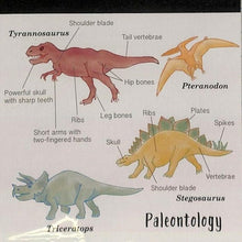 Load image into Gallery viewer, ﾒﾓﾊﾟｯﾄﾞｽｸｴｱ古生物学
