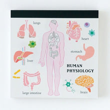 画像をギャラリービューアに読み込む, Green Flash ｸﾞﾘｰﾝﾌﾗｯｼｭ ﾉｰﾄ ･ STUDY HOLIC ﾒﾓﾊﾟｯﾄﾞ ｽｸｴｱ 人類生物学 a5 b5 方眼 罫線 横罫 無地 付箋 ﾒﾓ帳 かわいい おしゃれ 小さい ﾘﾝｸﾞ ｷｬﾗｸﾀｰ ｽｹｼﾞｭｰﾙ帳 手帳のﾀｲﾑｷｰﾊﾟｰ :4570057738370
