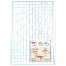 画像をギャラリービューアに読み込む, ＃ｸﾘｱｶﾊﾞｰ付箋(古生物学) --- : Clear cover sticky notes (paleontology) :4570057738400
