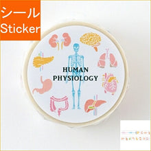 Load image into Gallery viewer, Green Flash ｸﾞﾘｰﾝﾌﾗｯｼｭ ｼｰﾙ ･ STUDY HOLIC ﾏｽｷﾝｸﾞﾃｰﾌﾟ 人類生物学 ｼｰﾙ帳 福袋 丸 おしゃれ ｱﾙﾊﾞﾑ ﾃﾞｺﾚｰｼｮﾝ ﾊｰﾄ 大量 ｽﾃｯｶｰ ｽﾏﾎ ごほうび 花 かわいい ｽｹｼﾞｭｰﾙ帳 手帳のﾀｲﾑｷｰﾊﾟｰ :4570057738660
