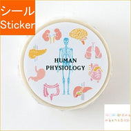 Green Flash ｸﾞﾘｰﾝﾌﾗｯｼｭ ｼｰﾙ ･ STUDY HOLIC ﾏｽｷﾝｸﾞﾃｰﾌﾟ 人類生物学 ｼｰﾙ帳 福袋 丸 おしゃれ ｱﾙﾊﾞﾑ ﾃﾞｺﾚｰｼｮﾝ ﾊｰﾄ 大量 ｽﾃｯｶｰ ｽﾏﾎ ごほうび 花 かわいい ｽｹｼﾞｭｰﾙ帳 手帳のﾀｲﾑｷｰﾊﾟｰ :4570057738660