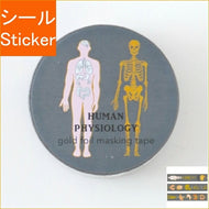 Green Flash ｸﾞﾘｰﾝﾌﾗｯｼｭ ｼｰﾙ ･ STUDY HOLIC 金箔ﾏｽｷﾝｸﾞﾃｰﾌﾟ 人類生物学 ｼｰﾙ帳 福袋 丸 おしゃれ ｱﾙﾊﾞﾑ ﾃﾞｺﾚｰｼｮﾝ ﾊｰﾄ 大量 ｽﾃｯｶｰ ｽﾏﾎ ごほうび 花 かわいい ｽｹｼﾞｭｰﾙ帳 手帳のﾀｲﾑｷｰﾊﾟｰ :4570057738752