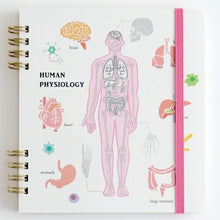 画像をギャラリービューアに読み込む, GreenFlash ｸﾞﾘｰﾝﾌﾗｯｼｭ ﾘﾝｸﾞﾉｰﾄ･ｽｸｴｱ(人類生物学)  ｽｹｼﾞｭｰﾙ帳 手帳のﾀｲﾑｷｰﾊﾟｰ　学校　ｺﾞﾑﾊﾞﾝﾄﾞ　ﾊｰﾄﾞｶﾊﾞｰ　人体模型　臓器　免疫学　脳　肺　心臓　腸 :4570057746887
