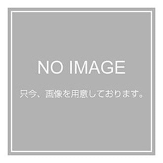 ＃くれ竹万年毛筆　夢銀河　京都オパール (株)呉竹精昇堂 :4901427249804