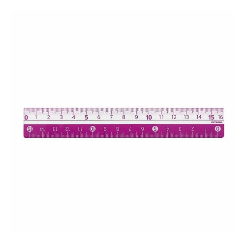 カラー定規（１６ｃｍ）パープル