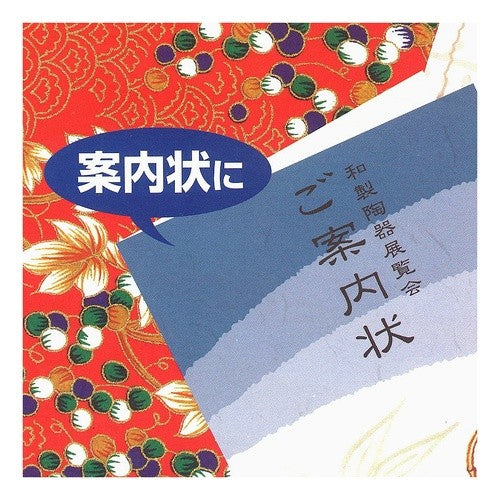 ＃カラーレーザー＆インク用紙（和紙・厚口） ｺｸﾖ(株) :4901480154367