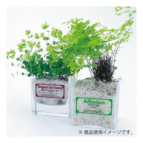 ＃カラーレーザー＆カラーコピー用フィルム ｺｸﾖ(株) :4901480216966