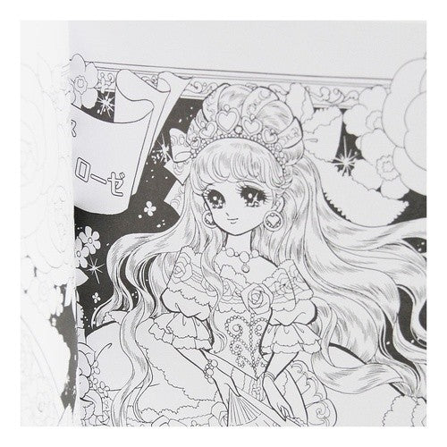 Ｂ５．ぬりえ　プリンセスワールド