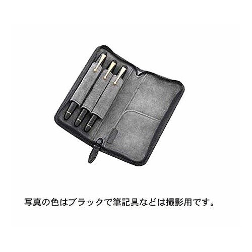 ﾍﾟﾝｻﾝﾌﾞﾙ ﾌｧｽﾅｰﾍﾟﾝｹｰｽ 01BN