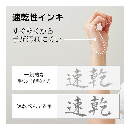 ＃ぺんてる ＃速乾ぺんてる筆うす墨 --- : Pentel Quick-drying Pentel brush ink :4902506387493