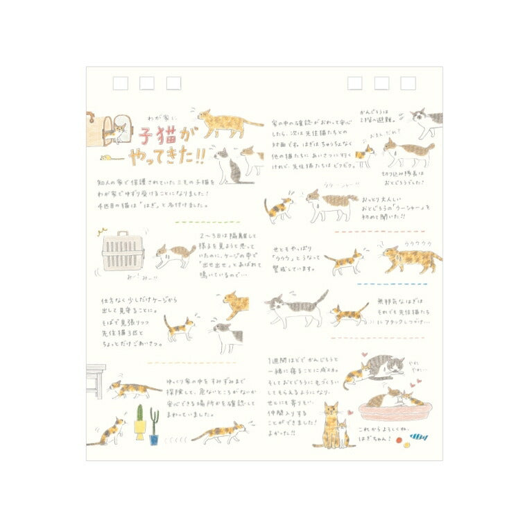 DESINPHIL･MIDORI ﾃﾞｻﾞｲﾝﾌｨﾙ･ﾐﾄﾞﾘ 2026 1月始まり ｶﾚﾝﾀﾞｰ A6 卓上 ｶﾚﾝﾀﾞｰ ﾘﾝｸﾞ S ﾈｺ柄 ｵｼﾞｻﾝ柄 ｶﾝﾄﾘｰﾀｲﾑ花柄 ﾃﾞｻﾞｲﾝ おしゃれ 大人かわいい  ｽｹｼﾞｭｰﾙ帳 手帳のﾀｲﾑｷｰﾊﾟｰ :4902805300148