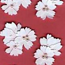 Load image into Gallery viewer, DESIGNPHIL MIDORI Stickers - Sakura Pattern Stickers 83102-006 Sticker book lucky bag schedule deco stickers diary animals characters Disney schedule book planner timekeeper :4902805831024
