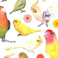 Load image into Gallery viewer, MINDWAVE ﾏｲﾝﾄﾞｳｪｲﾌﾞ ｼｰﾙ ･ ｲﾝｺ 鳥 とり ｼｰﾙ帳 福袋 ｽｹｼﾞｭｰﾙ ﾃﾞｺ ｽﾃｯｶｰ ﾀﾞｲｱﾘｰ ごほうび 花 ｱﾙﾌｧﾍﾞｯﾄ  ｽｹｼﾞｭｰﾙ帳 手帳のﾀｲﾑｷｰﾊﾟｰ :4909001115712
