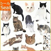 Load image into Gallery viewer, MINDWAVE ﾏｲﾝﾄﾞｳｪｲﾌﾞ ｼｰﾙ ･ ﾌｫﾄｼﾘｰｽﾞｼｰﾙ 11685 ｷｬｯﾄ4  ｽｹｼﾞｭｰﾙ帳 手帳のﾀｲﾑｷｰﾊﾟｰ :4909001116856
