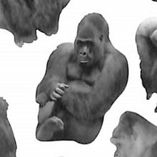 Load image into Gallery viewer, MINDWAVE ﾏｲﾝﾄﾞｳｪｲﾌﾞ ｼｰﾙ ･ ﾌｫﾄｼﾘｰｽﾞｼｰﾙ 11687 ｺﾞﾘﾗ ｼｰﾙ帳 福袋 丸 おしゃれ ｱﾙﾊﾞﾑ ﾃﾞｺﾚｰｼｮﾝ ﾊｰﾄ 大量 ｽﾃｯｶｰ ｽﾏﾎ ごほうび 花 かわいい ｽｹｼﾞｭｰﾙ帳 手帳のﾀｲﾑｷｰﾊﾟｰ :4909001116870
