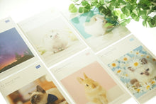 Load image into Gallery viewer, 【20%OFF・期間限定】 MINDWAVE ﾏｲﾝﾄﾞｳｪｲﾌﾞ 2019年4月始まり(2019年2月始まり) 手帳 月間式(月間ﾌﾞﾛｯｸ) B6 ﾏﾝｽﾘｰ ﾎﾟﾒﾗﾆｱﾝ ｷｬｯﾄ ﾊﾘﾈｽﾞﾐ 小物 大人かわいい おしゃれ 可愛い ﾘﾌｨﾙ ほぼ 日 干支  ｽｹｼﾞｭｰﾙ帳 手 :9784471719661
