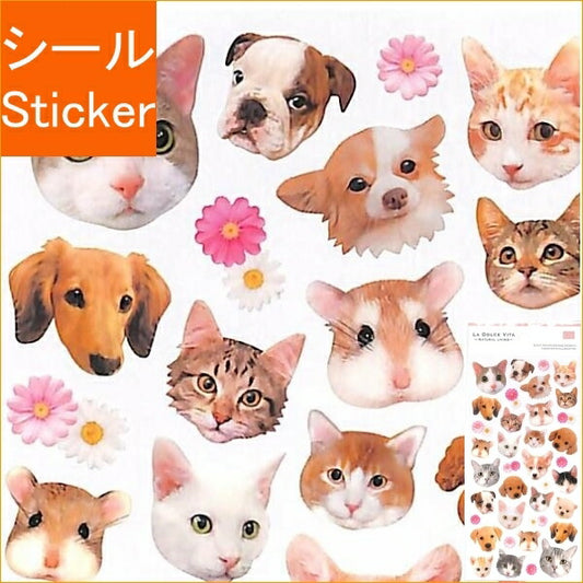 MINDWAVE Seal, Animal Face 1, Seal Album, Lucky Bag, Schedule, Deco, Sticker, Diary, Animals, Animal, Photo, Pictures, Seal, Schedule Book, Timekeeper for Planners :4909001119147