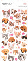 Load image into Gallery viewer, MINDWAVE Seal, Animal Face 1, Seal Album, Lucky Bag, Schedule, Deco, Sticker, Diary, Animals, Animal, Photo, Pictures, Seal, Schedule Book, Timekeeper for Planners :4909001119147
