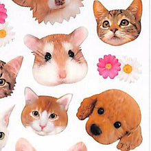 Load image into Gallery viewer, MINDWAVE Seal, Animal Face 1, Seal Album, Lucky Bag, Schedule, Deco, Sticker, Diary, Animals, Animal, Photo, Pictures, Seal, Schedule Book, Timekeeper for Planners :4909001119147
