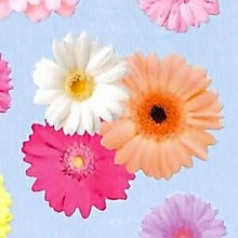 Load image into Gallery viewer, MINDWAVE Stickers - Gerbera - Schedule Book Time Keeper: 4909001216778
