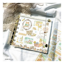 Load image into Gallery viewer, ＃ﾊﾞｲﾝ A6ﾜｲﾄﾞｸﾘｱﾊﾞｲﾝﾀﾞｰ 58051 ｺﾞｰﾙﾄﾞ --- : Bine A6 wide clear binder 58051 Gold :4909001580510
