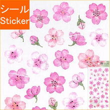 Load image into Gallery viewer, Sakura Gokoro Series 80512 Sakura 2 --- :4909001805125

