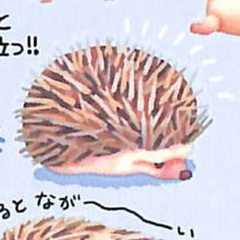 Load image into Gallery viewer, MINDWAVE Seal - Aim for Idols, We're the Minimums! Hedgehog 80600 Seal Book Lucky Bag Round Stylish Album Decoration Heart Large Quantity Stickers Smartphone Reward Flower Cute Schedule Book Notebook Timekeeper :4909001806009
