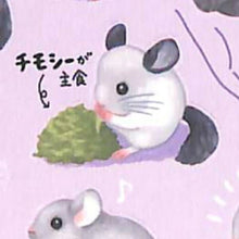 Load image into Gallery viewer, MINDWAVE Seal - Aiming to be Idols, We're the Minimums! Chinchilla Seal Book Lucky Bag Round Stylish Album Decoration Heart Lots of Stickers Smartphone Reward Flower Cute Schedule Book Timekeeper for Notebooks: 4909001806023
