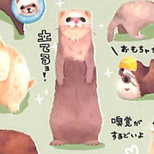 Load image into Gallery viewer, MINDWAVE Seal - Aim for the Idol! Our Minimams! Ferret Sticker Book Lucky Bag Round Stylish Album Decoration Heart Bulk Stickers Smartphone Reward Flower Cute Schedule Book Timekeeper for Notebooks: 4909001806030

